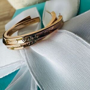 RARE Tiffany & Co Rubedo 1837 Hoop Earrings in Silver, Medium